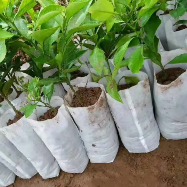 50%HOT 100pcs-Degradable Corrosion Resistant Non Woven Non Woven Nursery Plant Grow Bag Planter Garden Environmental Protection - Image 2