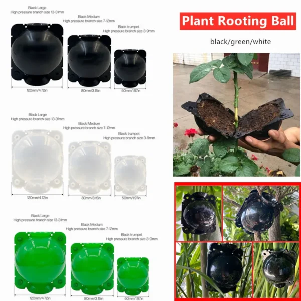 2023 Plant Rooting Ball Grafting Rooting Growing Box Breeding seeding Case Container Nursery Box Garden Seeds Root Growing